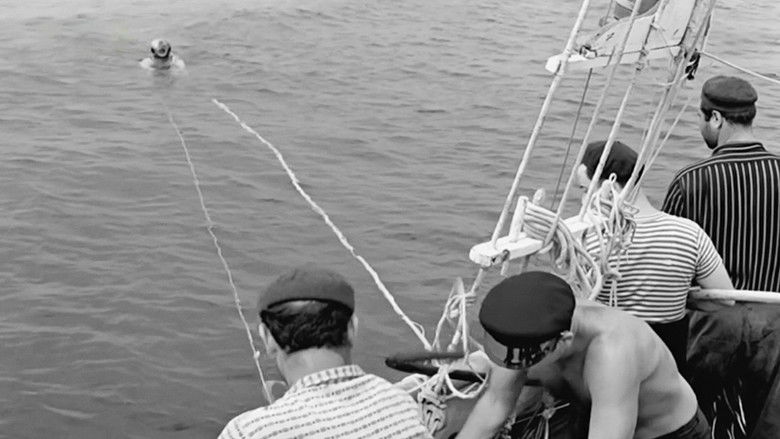 кадр из фильма Διχασμός