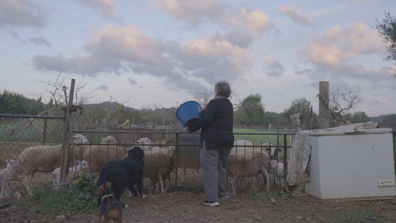 кадр из фильма Ca Nostra