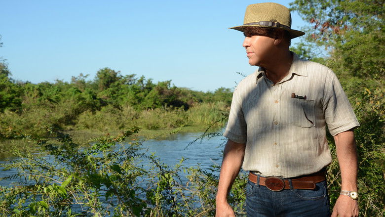 кадр из фильма Mambo Man