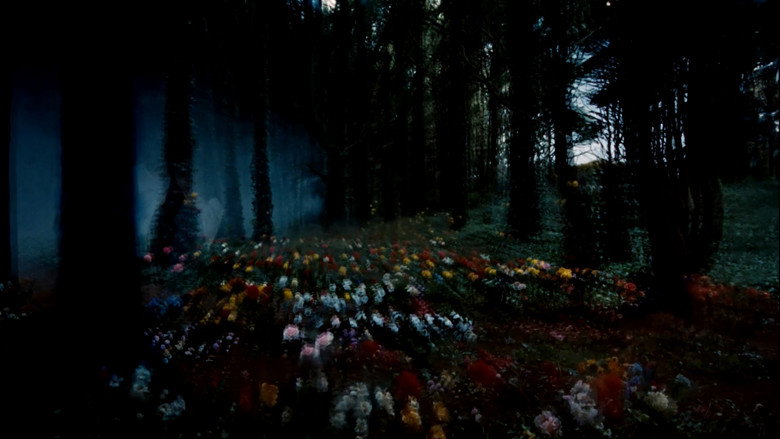 кадр из фильма Frágil Como o Mundo