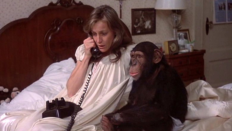 кадр из фильма The Attic