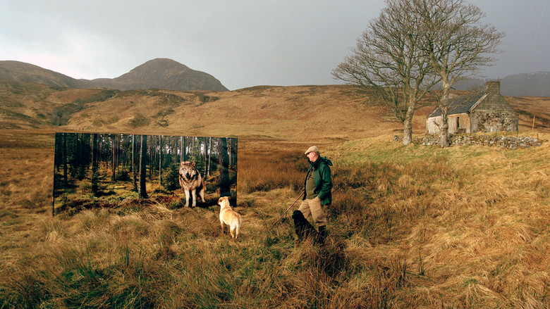 кадр из фильма The Serengeti Rules