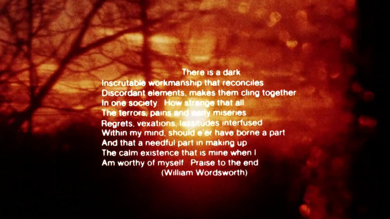 кадр из фильма Illuminated Texts