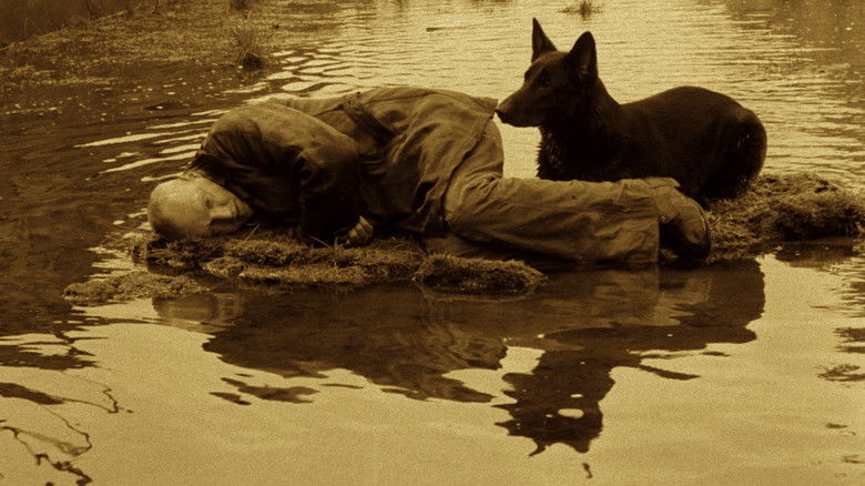 кадр из фильма Сталкер