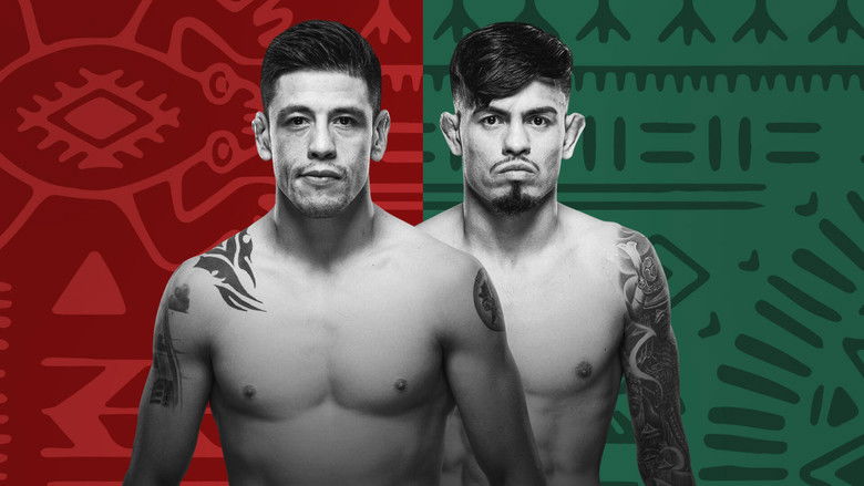 кадр из фильма UFC Fight Night 237: Moreno vs. Royval 2