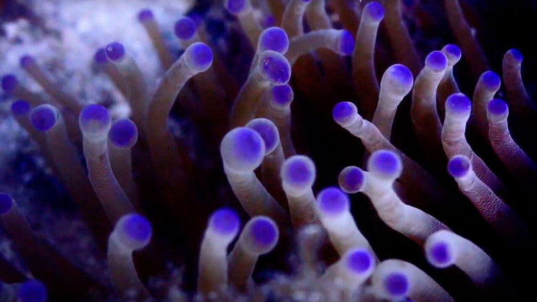 кадр из фильма Pueblos de Arrecife