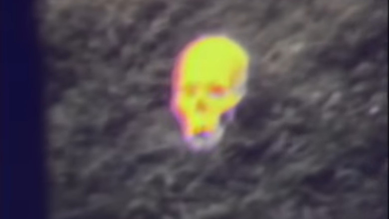 кадр из фильма Beneath the Skin