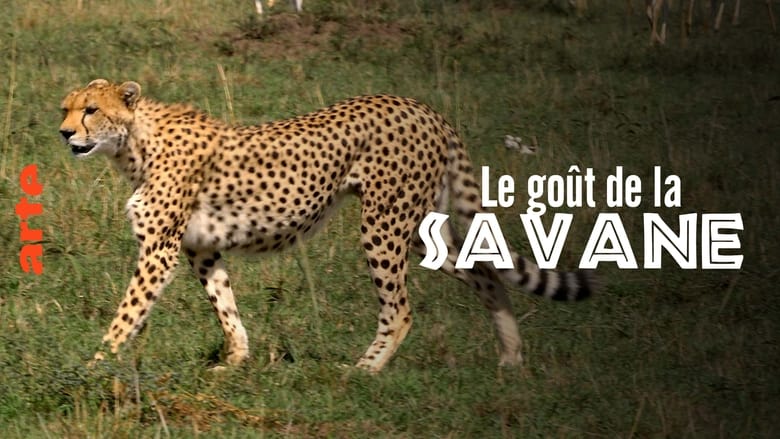 кадр из фильма Le Goût de la savane : Herbivores et carnivores, festins croisés