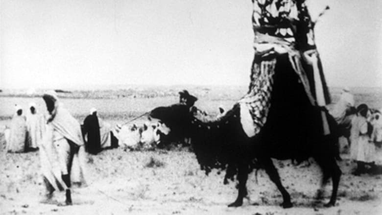 кадр из фильма Défilé des chameaux avec les Bassours