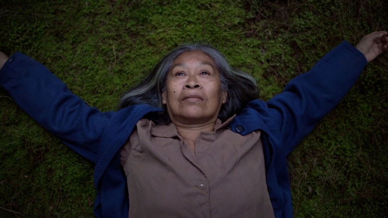 кадр из фильма Diòba