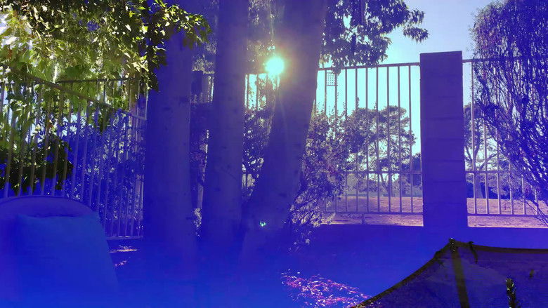 кадр из фильма Ruminative Meditations