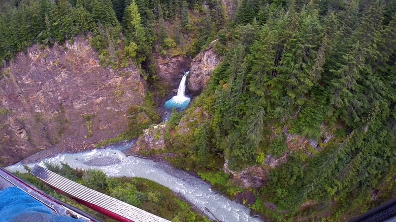 кадр из фильма Gold Blooded