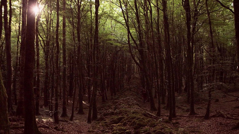 кадр из фильма Корона и дракон