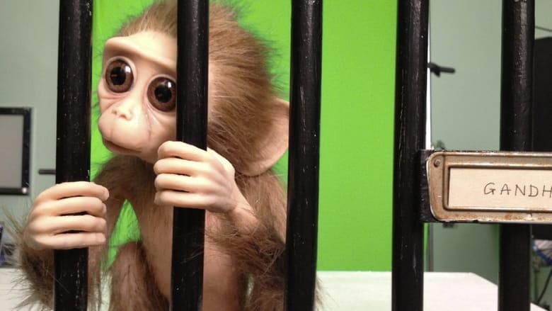 кадр из фильма Monkey Love Experiments