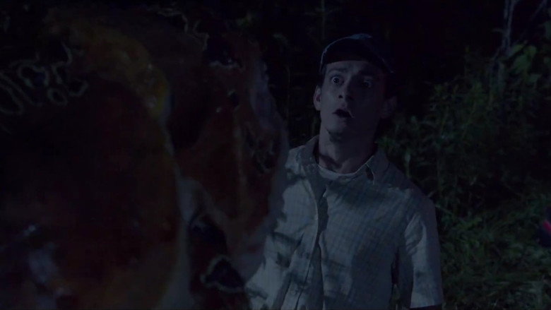 кадр из фильма God of Frogs