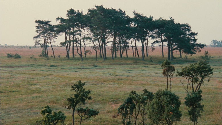 кадр из фильма Жертвоприношение