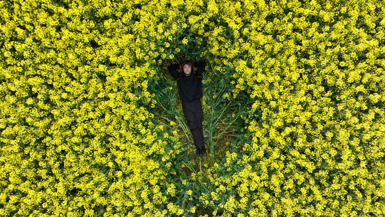 кадр из фильма David Keenan - Focla Ar Chanbhás