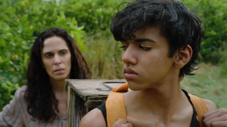 кадр из фильма Siempre vuelven