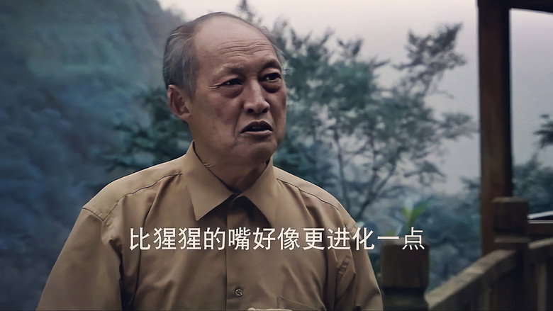 кадр из фильма 北纬31°录像带