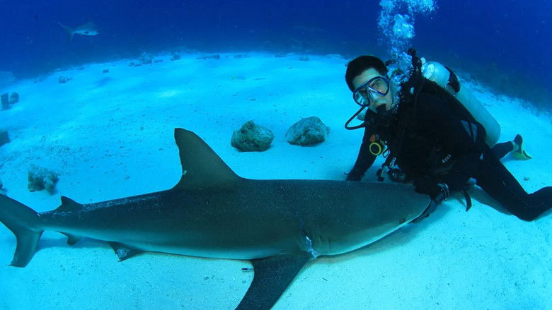 кадр из фильма Fin