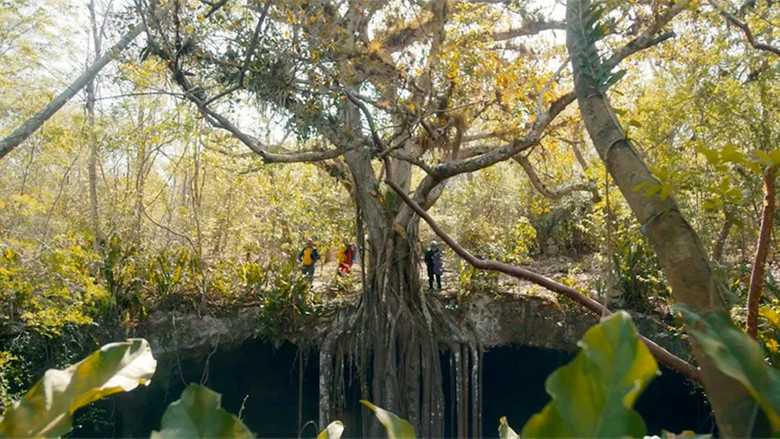 кадр из фильма Underland