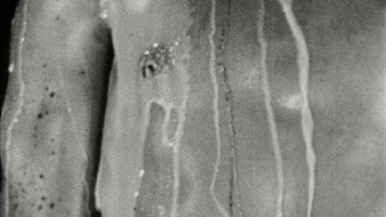 кадр из фильма Fireworks