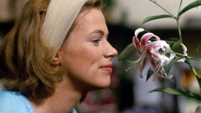 кадр из фильма Секретарша