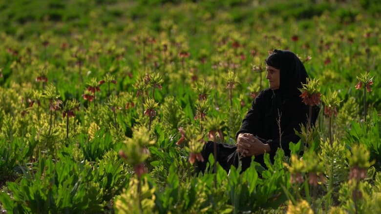 кадр из фильма مرثیه ای برای ایل