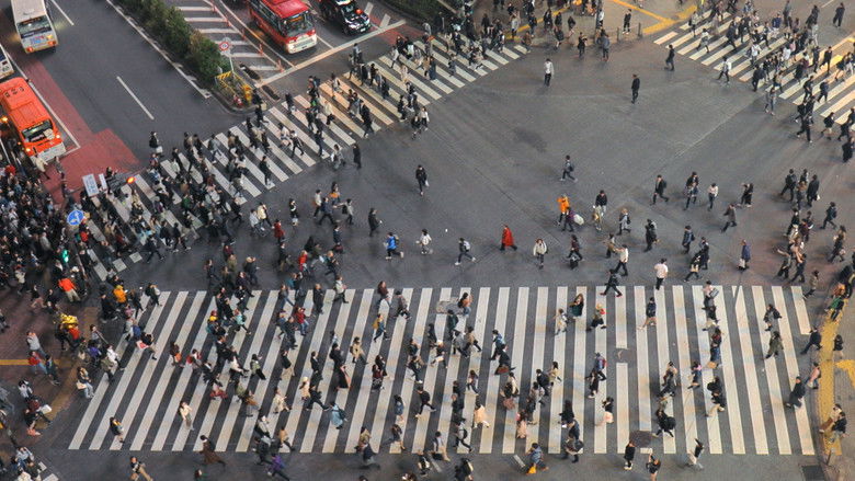 кадр из фильма De la luz y de las sombras