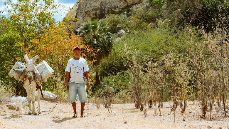 кадр из фильма Olho D'Água