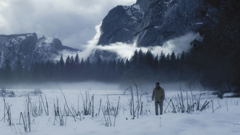 кадр из фильма Лес призраков: Сатор