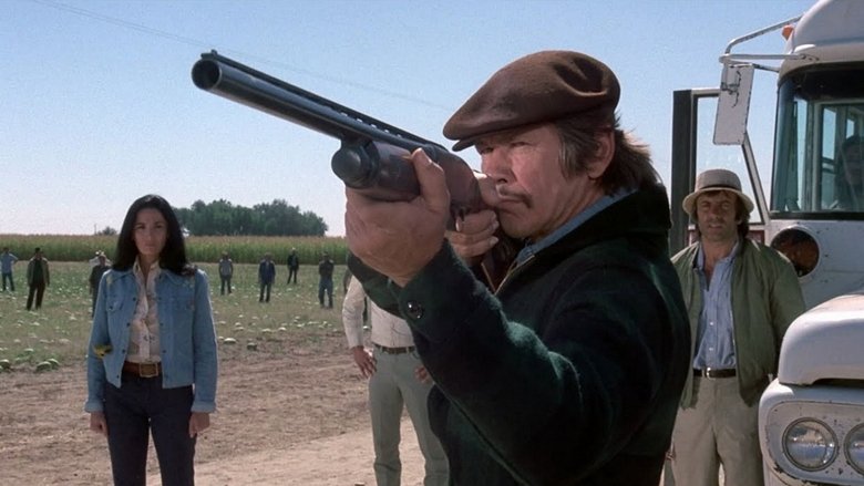 кадр из фильма Мистер Маджестик