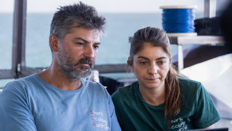 кадр из фильма Bull Shark Bandits