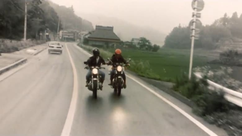 кадр из фильма 彼のオートバイ、彼女の島
