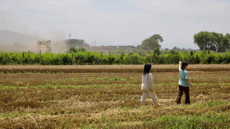 кадр из фильма 你的眼睛比太阳明亮