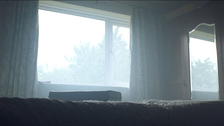 кадр из фильма The Flowers From The Window
