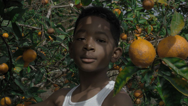 кадр из фильма Burning Cane