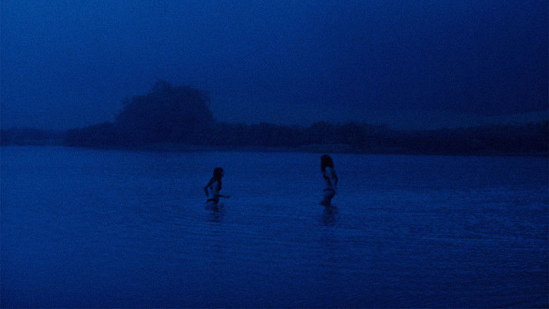 кадр из фильма Lobo e Cão