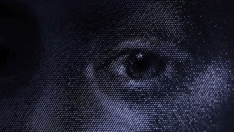 кадр из фильма Le tableau