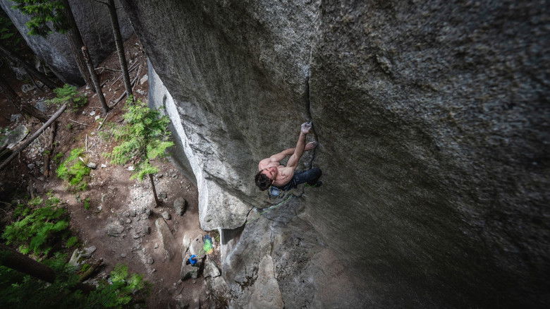 кадр из фильма The Cobra and the Heart