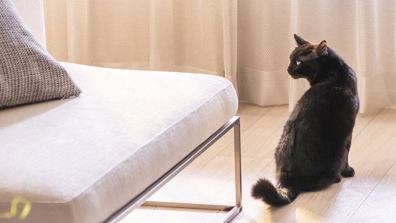 кадр из фильма 空に住む