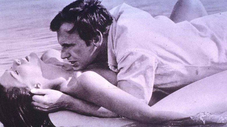 кадр из фильма Приходи как-нибудь вечером поужинать