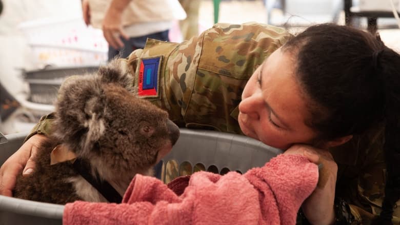 кадр из фильма Bushfire Animal Rescue