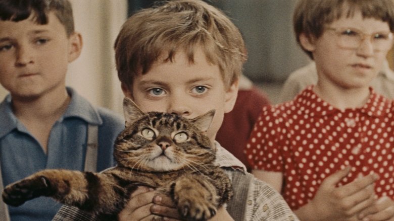 кадр из фильма Вот придёт кот