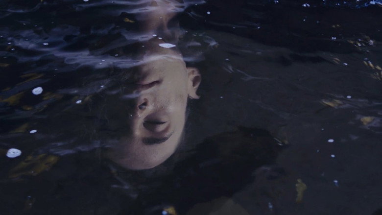 кадр из фильма La voix de mon rêve