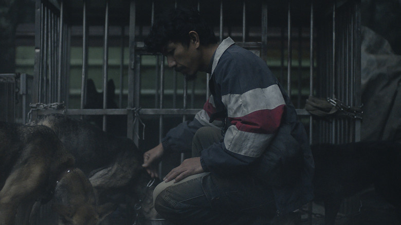 кадр из фильма Дворняга