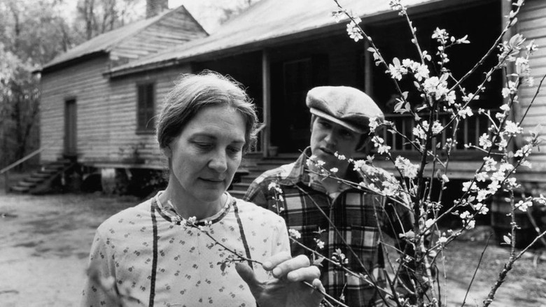 кадр из фильма Gal Young 'Un