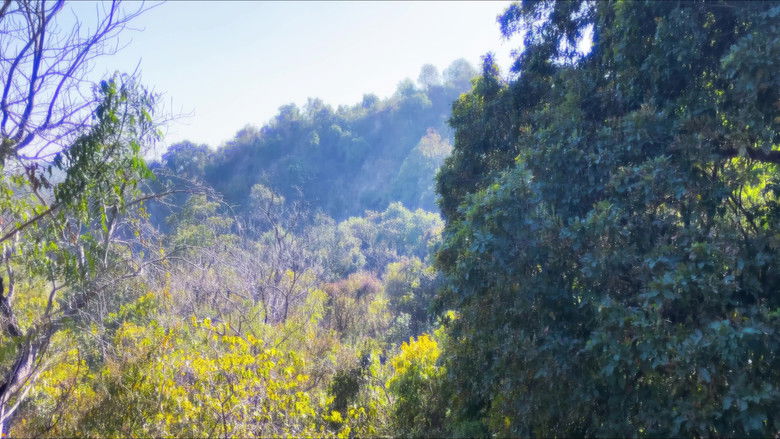 кадр из фильма संकट का समय