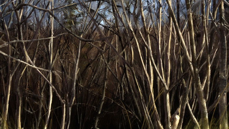 кадр из фильма Dust Bath