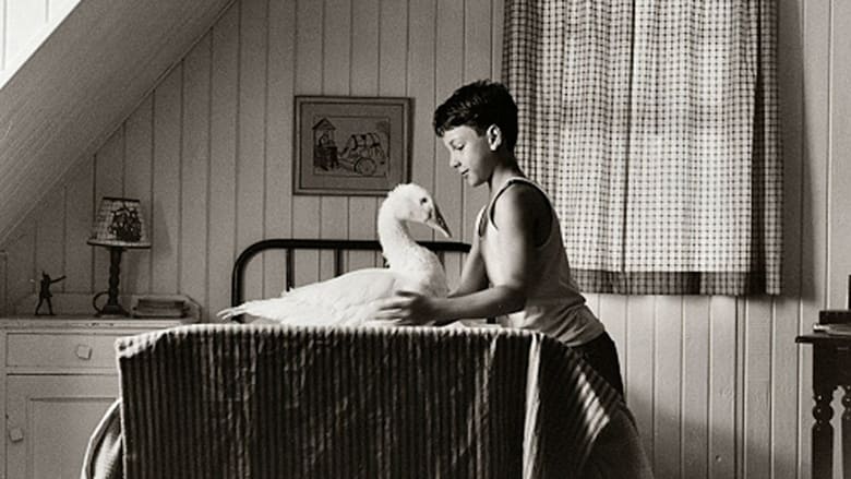 кадр из фильма L'histoire de l'oie